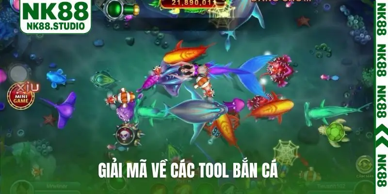 Giải mã về các tool bắn cá